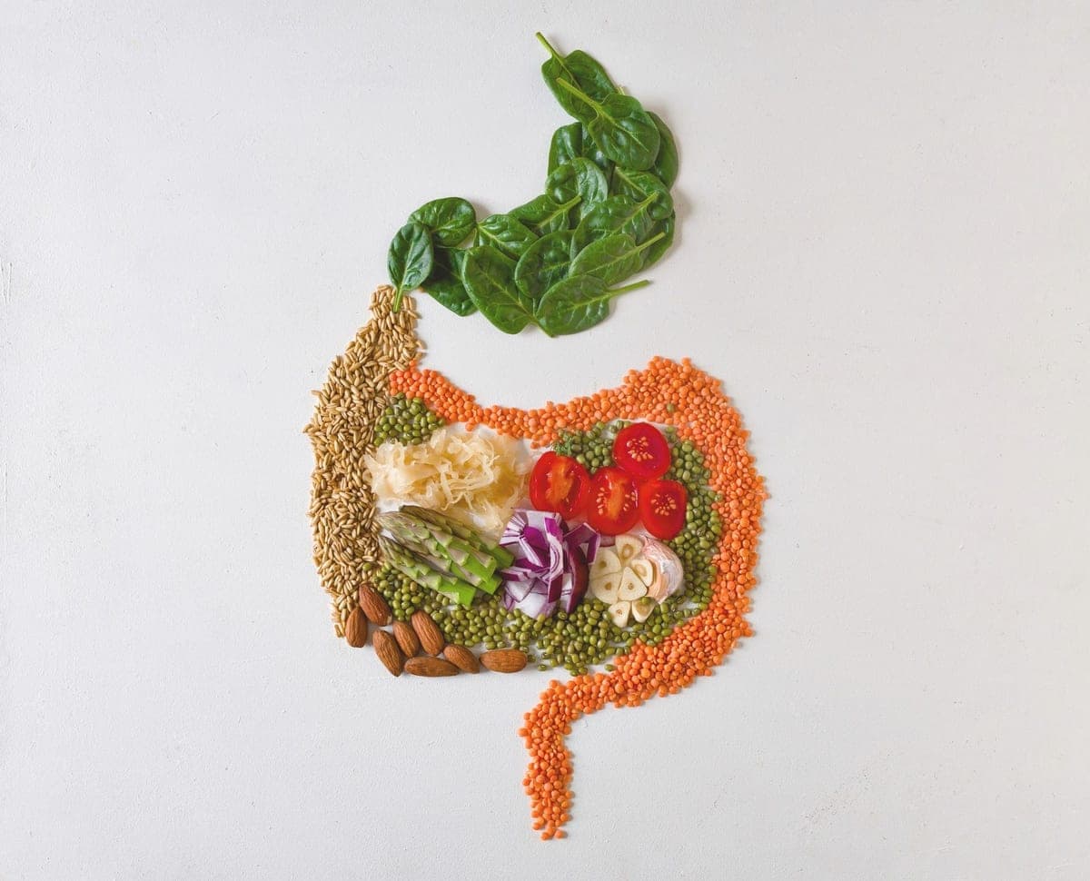 Fresh whole vegetables, fruits and legumes arranged in the shape of the human digestive system
